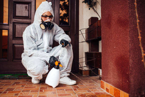 Reliable Wasp Removal contractor in Fruitland Park, FL by Show Me Pest Control